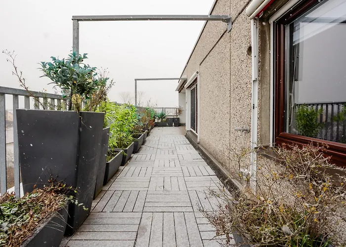 Wohnung Mit Dachterrasse